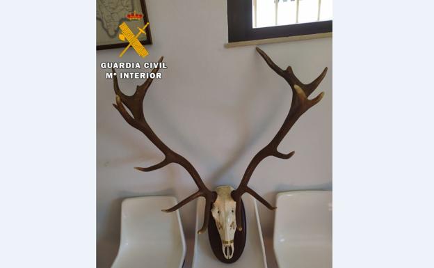 Detenido un vecino de Siles por entrar en una casa de campo a robar trofeos de caza