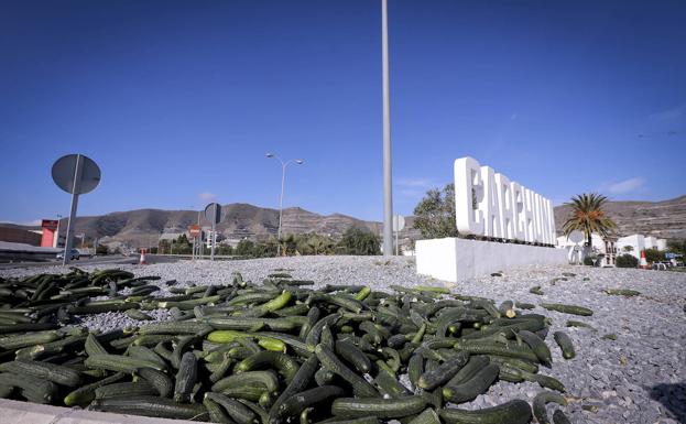 Los agricultores de la Costa pierden dinero con la venta de pepinos y exigen medidas