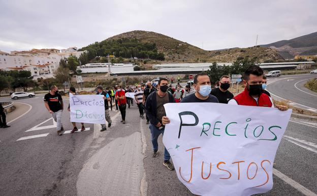 Torrenueva y Carchuna ceden espacios para que los agricultores puedan deshacerse de los pepinos