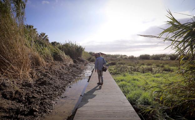 Motril da el primer paso para que las Azucenas sea una reserva natural