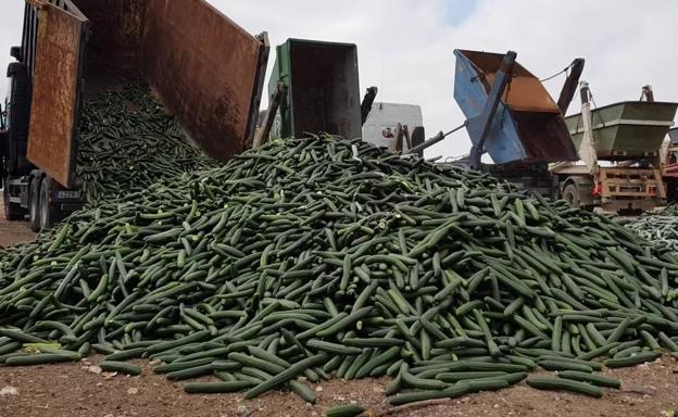 Almería y Granada unen fuerzas para combatir la actual crisis de precios