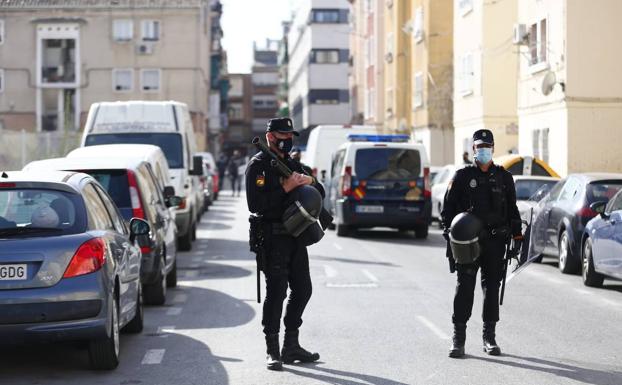 Un detenido y 765 plantas de 'maría' en el registro de dos pisos en Santa Adela
