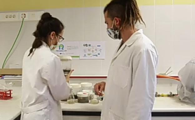 La Noche de los Investigadores acerca la ciencia a través de la pantalla