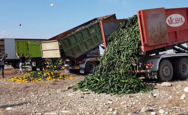 La destrucción de producto y el frío elevan levemente el precio del pepino