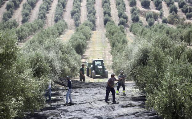La capital propone mayor estancia de los temporeros en los albergues para reducir la rotación