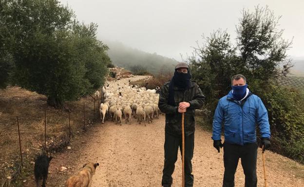 Dos jornadas en la trashumancia con ganaderos de Santiago-Pontones