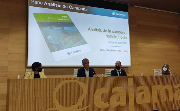 El valor de las frutas y hortalizas de Almería alcanzó los 2.319 millones