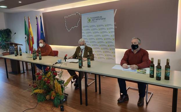 Baja tres puntos el rendimiento graso de la aceituna