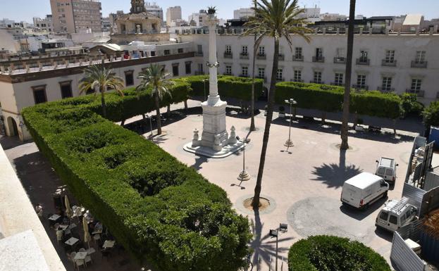 Suspendida cautelarmente la modificación del PGOU que elimina los ficus de la Plaza Vieja