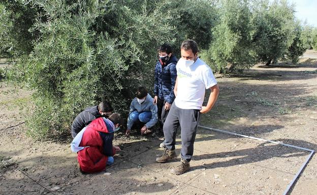 Arqueólogos por un día