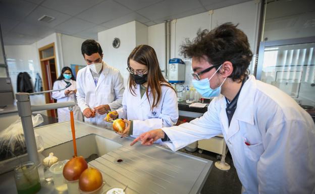 El presupuesto de la UGR para 2021 crece en medio de la asfixia económica de la provincia