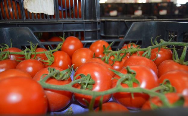 Coag denuncia en la UE un posible fraude en la entrada de hortícolas marroquíes