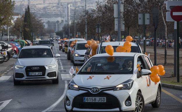 Granada se moviliza contra la Ley Celaá por segunda vez en un mes