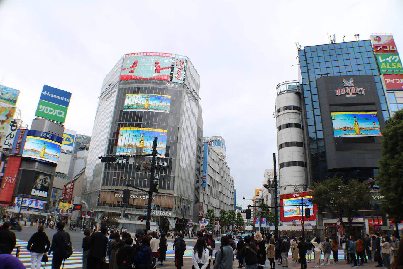 Agricultura ultima el decreto frente a los altibajos en el precio del aceite de oliva