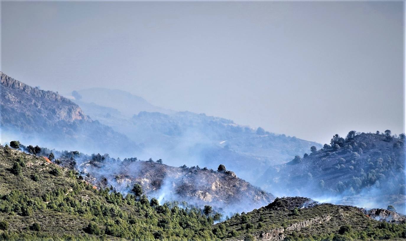 Un incendio forestal en Órgiva obliga a desalojar una residencia de ancianos