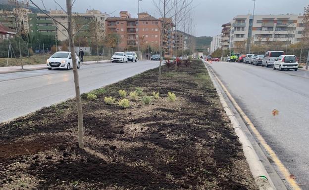 Mil árboles plantados para recuperar el patrimonio verde