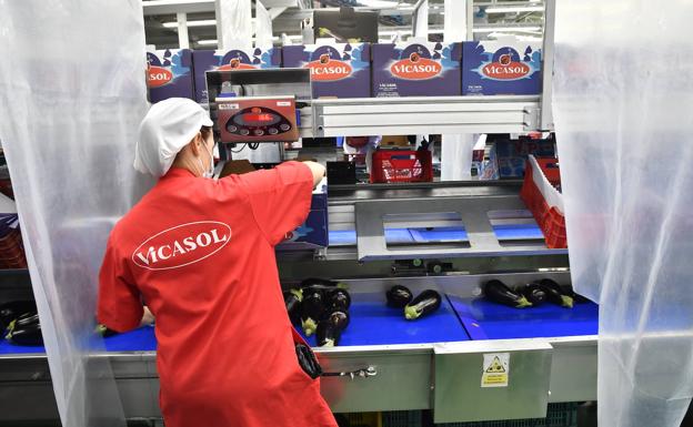 Vicasol concluye 2020 creciendo y superando los 240 millones de euros