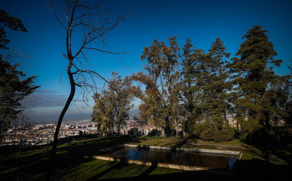 La gran alberca del palacio escondido de Granada