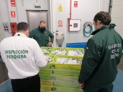 La Guardia Civil interviene en el Polígono Guadiel de Guarromán 464 kilos de sardinas no aptas para el consumo
