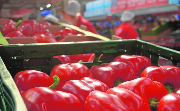 Productores y comercializadoras, lejos del consenso ante la Ley de la Cadena