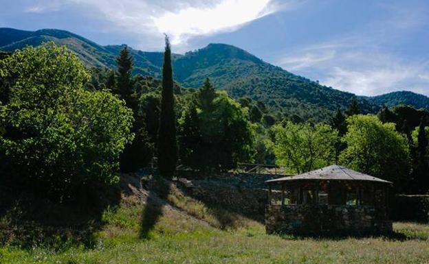 Nace 'Salvemos Castala', una comunidad dispuesta a reforestar Sierra de Gádor