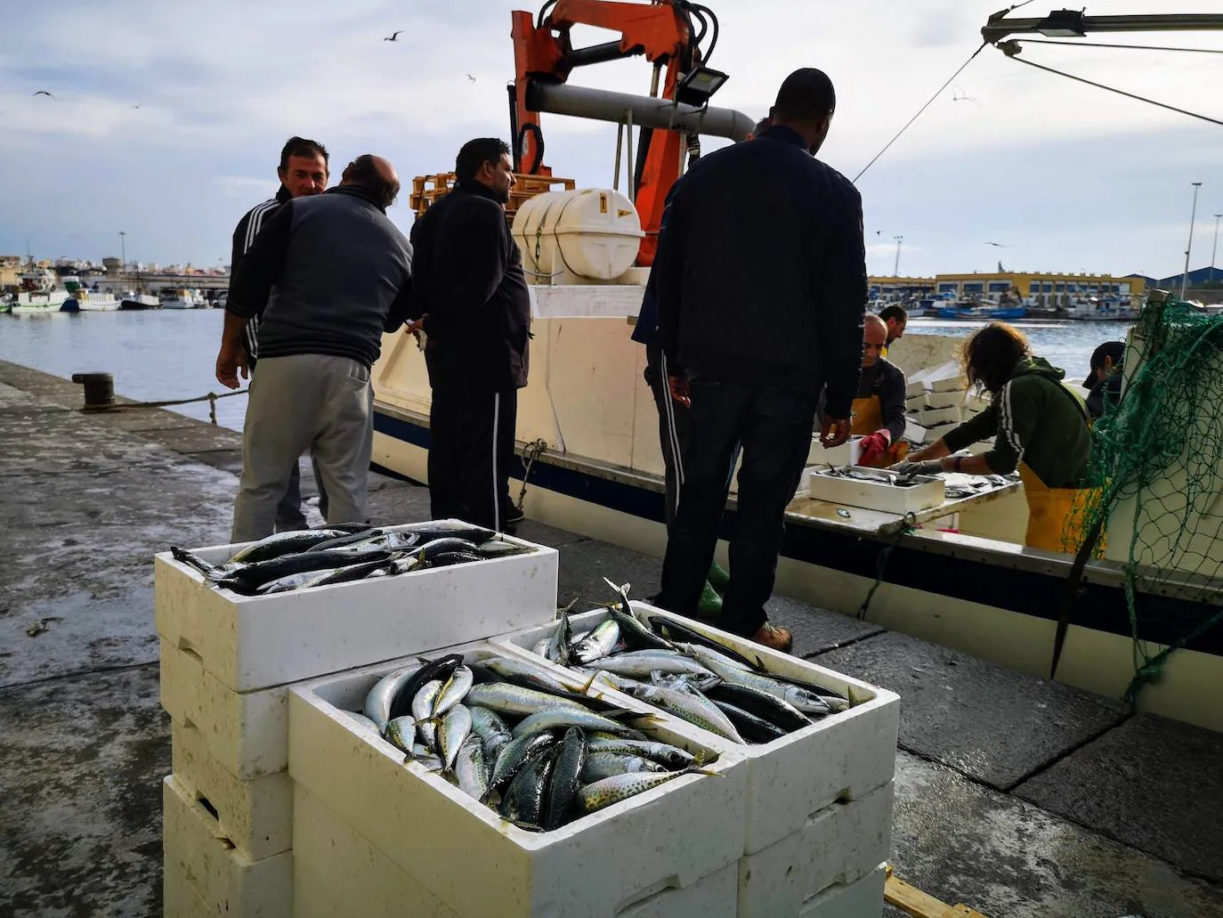 La Unión Europea pone en 'jaque' la «buena salud» de la que goza la pesca en Almería