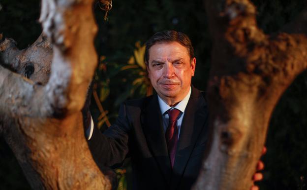 «El gran reto para conseguir precios justos es la creación de valor»