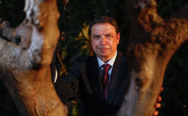 «El Gobierno va aprobar el instrumento para que el sector del aceite pueda regular la oferta»