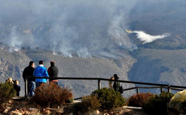 Los incendios de Berja y Castro de Filabres arrasan 1.350 hectáreas