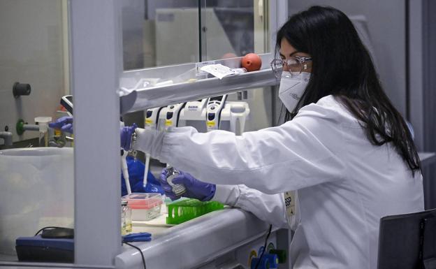 Salud identifica cinco positivos relativos a la cepa británica en Almería en un mes e investiga otros 50