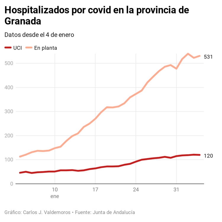 Más de 16.000 contagios y siete muertos cada día en Granada en el primer mes de la tercera ola
