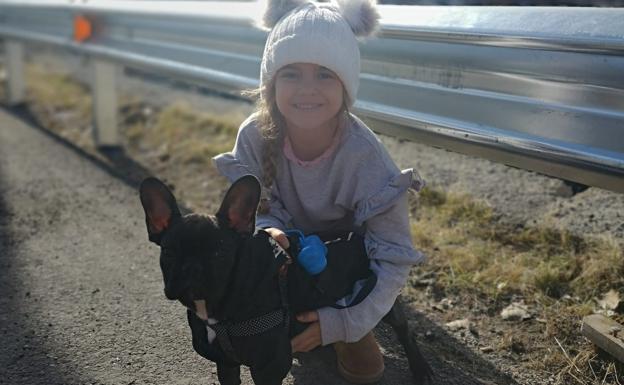 La búsqueda de Vini, el perro perdido que moviliza a todo Ogíjares: «Tiene que volver a casa»