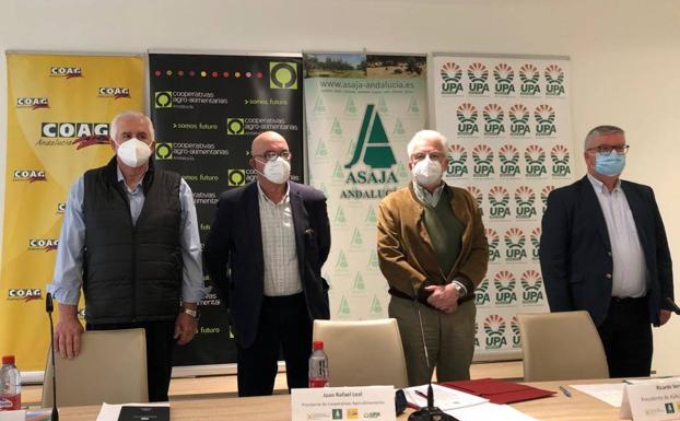 El sector agrario andaluz pide al ministro «diálogo o dimisión» por el «recorte» de la PAC