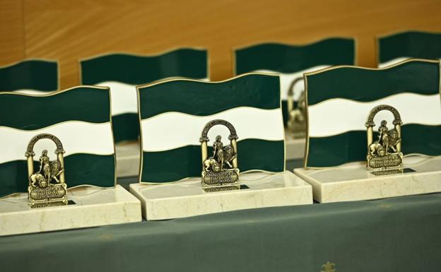 El profesorado de Granada y la Cámara de Comercio, entre los galardonados con la Bandera de Andalucía