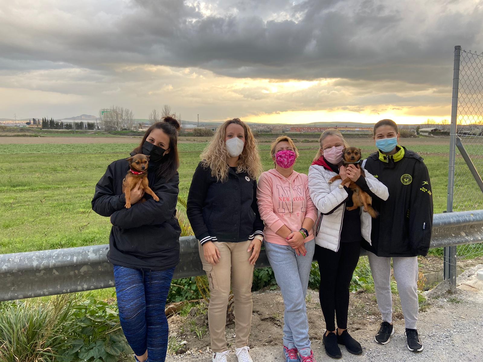 Vegas del Genil, el pueblo que ya no abandona a sus mascotas