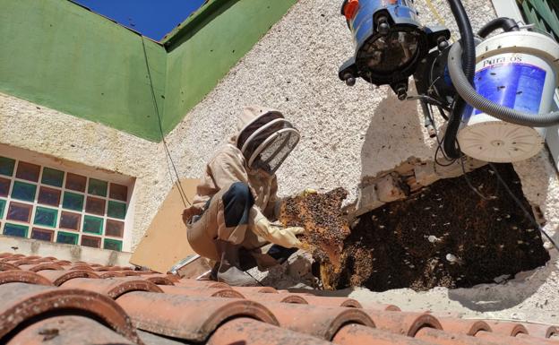 Buscan a 236 personas desaparecidas en la provincia de Granada