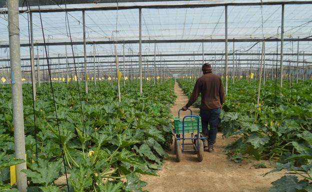 Los derechos laborales en el debate de la percepción de ayudas PAC