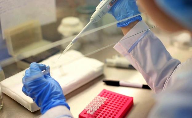 Un estudio relaciona el daño en el ADN y el ARN y la mortalidad en pacientes con covid-19