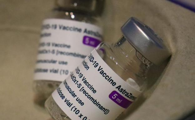 Detectan la variante británica de la covid-19 en perros y gatos