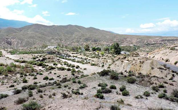 Cultura da el máximo nivel de protección al yacimento de Terrera Ventura, en Tabernas