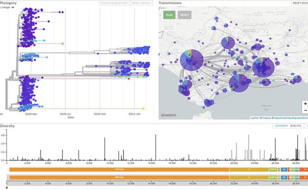 El mapa epidemiológico de la covid-19 de Andalucía que permite analizar nuevas variantes