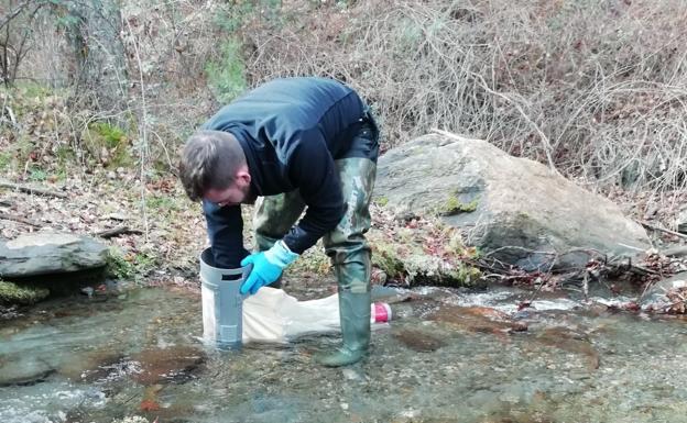 La acción del hombre sobre los bosques tropicales afecta a los ecosistemas fluviales