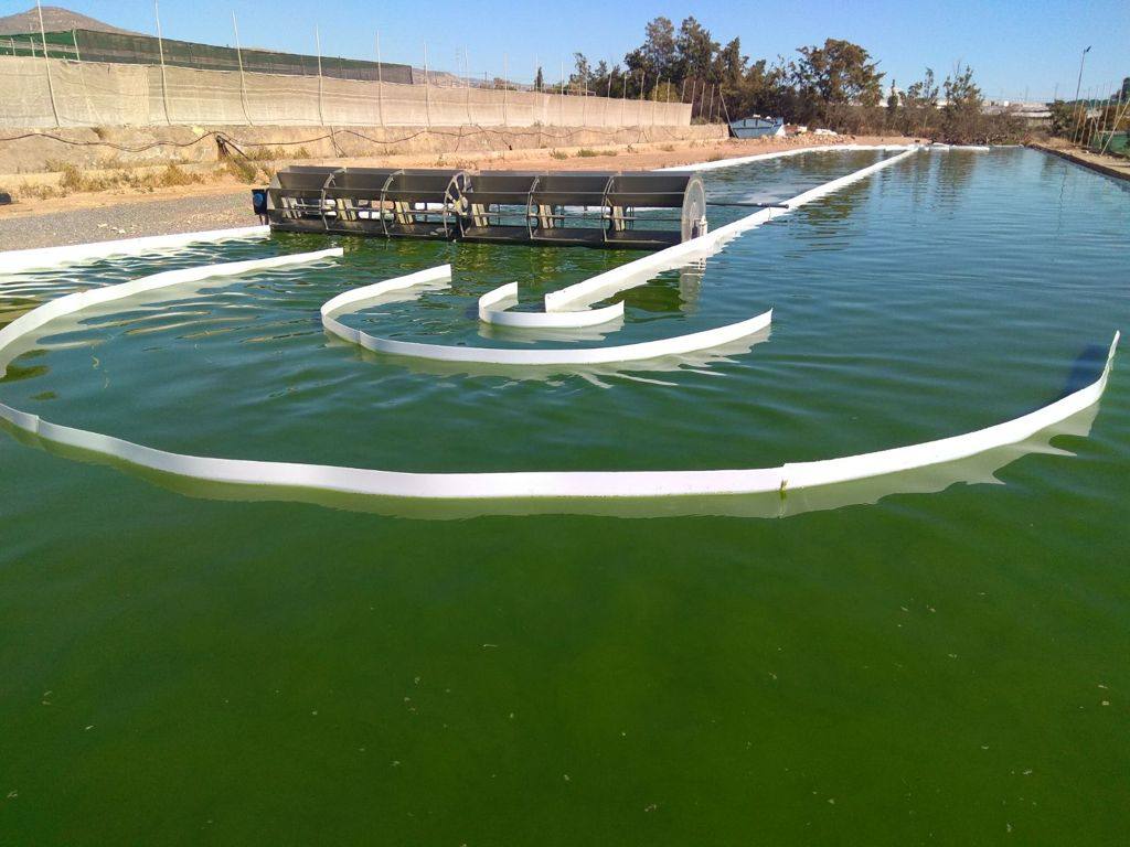 Investigan en la Universidad de Almería cómo mejorar y estabilizar la producción industrial de microalgas