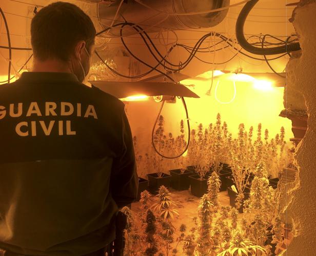 Al descubierto cuatro grandes invernaderos de marihuana en la provincia de Granada