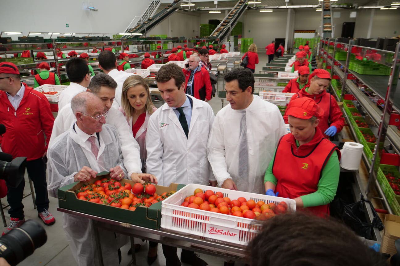 Casado y Moreno pactan la paz interna y dejan en manos de Amat un posible relevo en Almería
