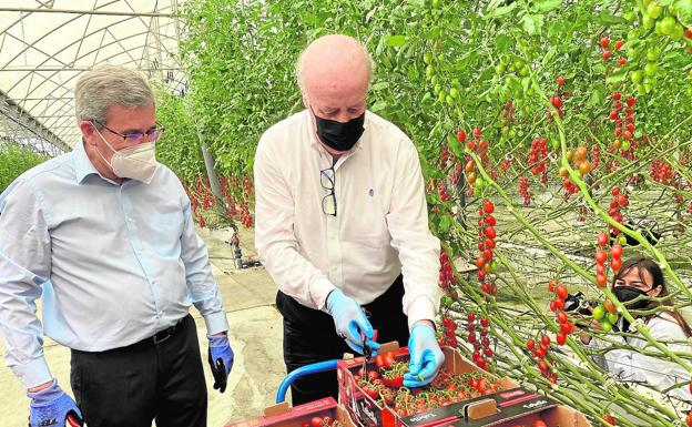 Vicente del Bosque es el embajador del tomate almeriense Sabor del Año 2021