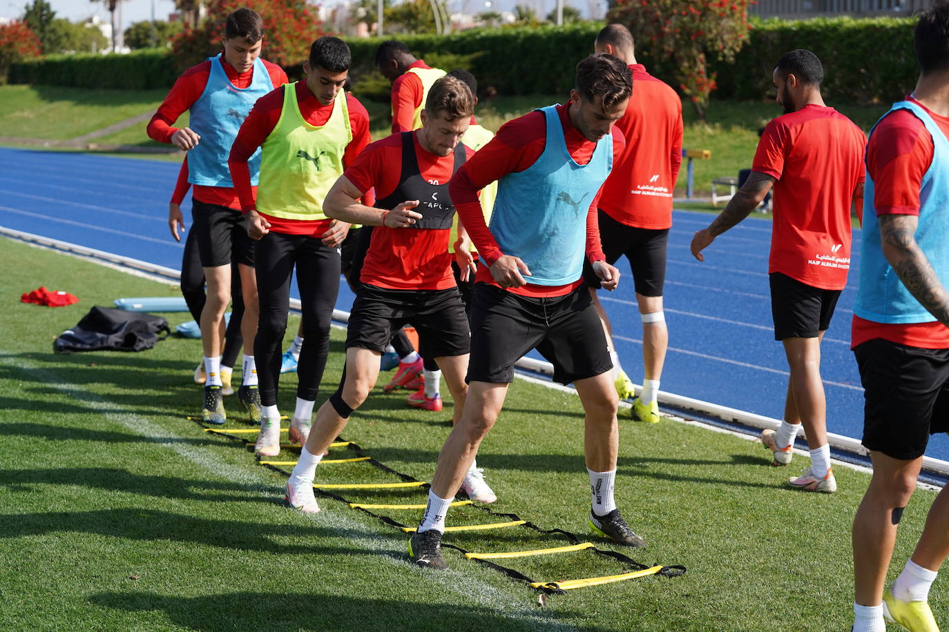 En directo | Real Zaragoza - Almería