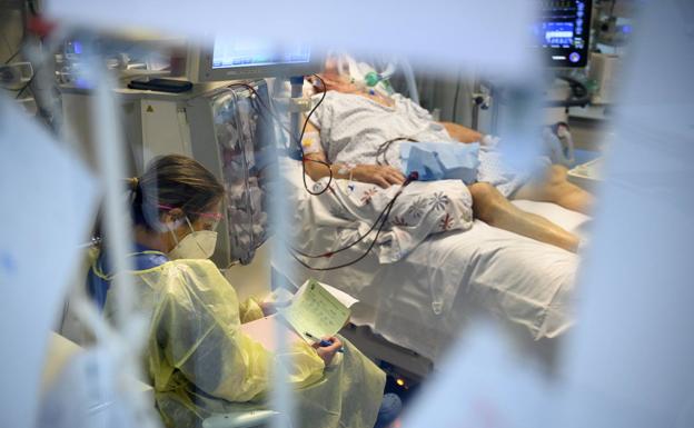 Almería registra la cifra de contagios más baja de las últimas dos semanas en 24 horas pero suma siete muertos