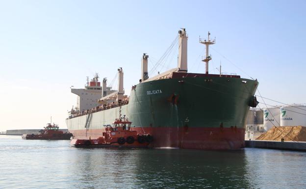 El Puerto de Motril recibe buques cada vez de mayor tonelaje