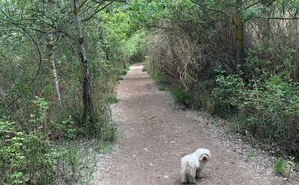 Senderismo con niños a diez minutos de Granada